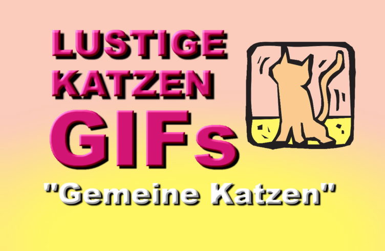 Lustige Katzen Gifs Gemeine Katzen Katzen Wie Wir