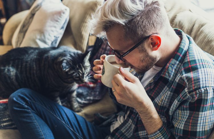 Artgerechte Katzenhaltung Rein Oder Raus Katzen Wie Wir